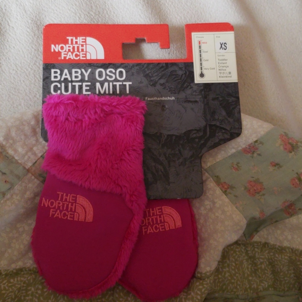 The Northface mittens (TODDLER)